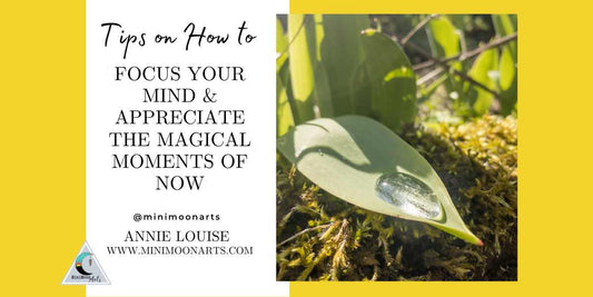 tips on how to focus your mind and appreciate the magical moments of now with image of green plant leaf with water droplet reflecting sunshine