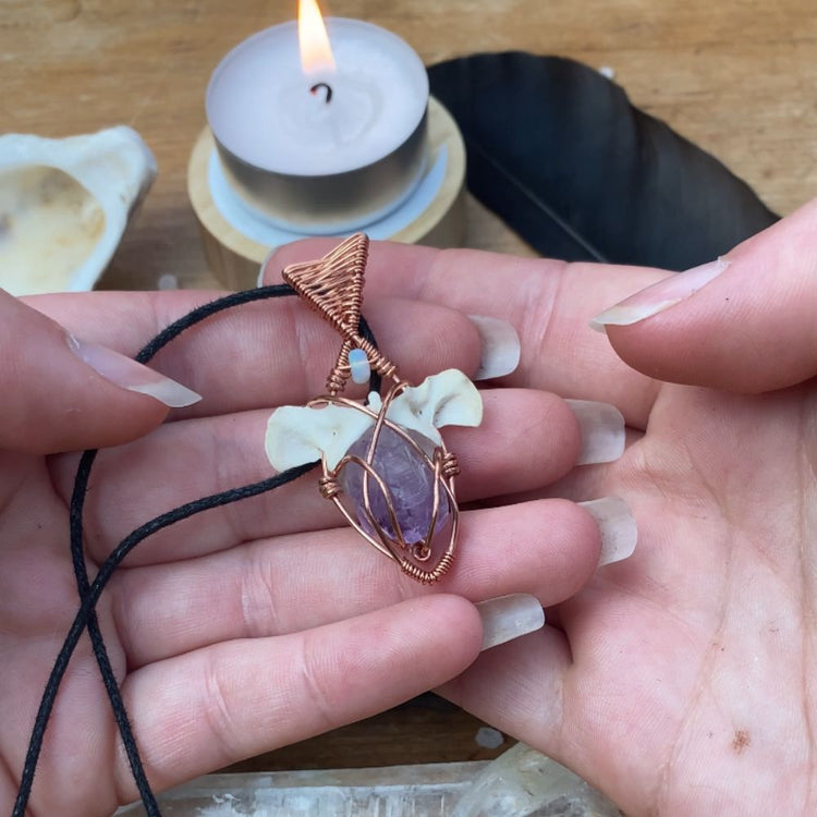 The Passion Led Path Collection