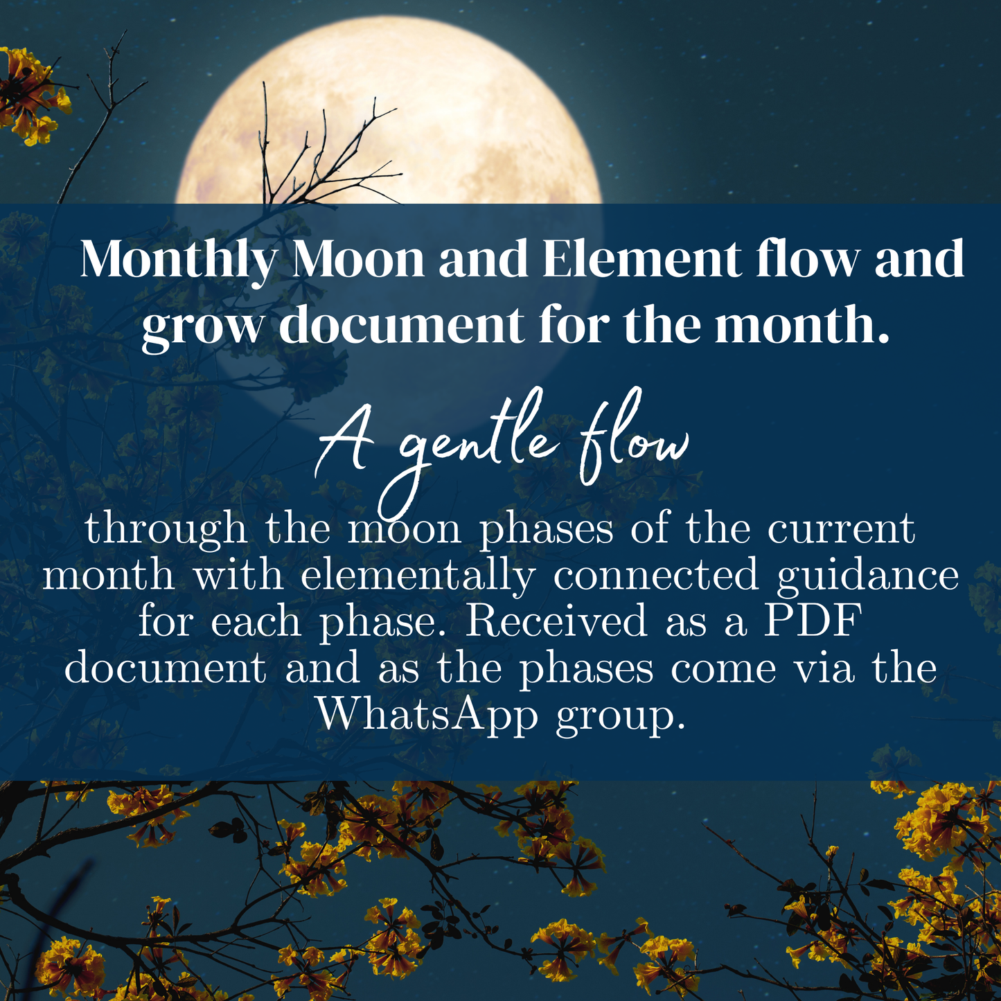 Glimmer Seekers Passion Sanctuary Membership