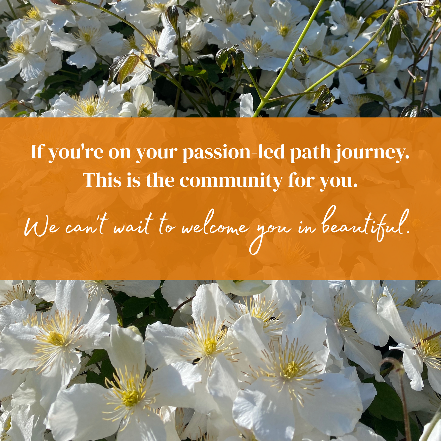 Glimmer Seekers Passion Sanctuary Membership