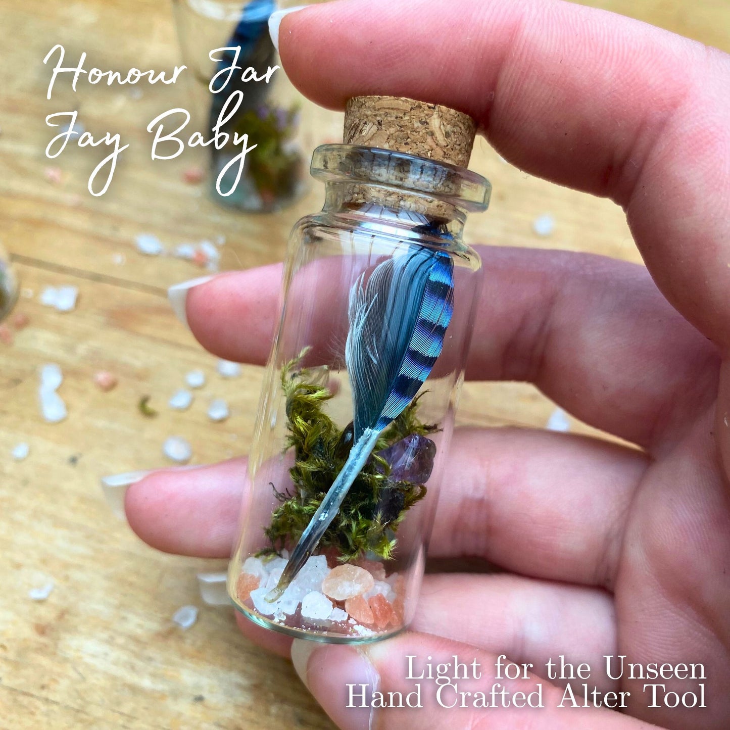 Light for the Unseen - Baby Jay Feather Curiosity & Honouring Jar