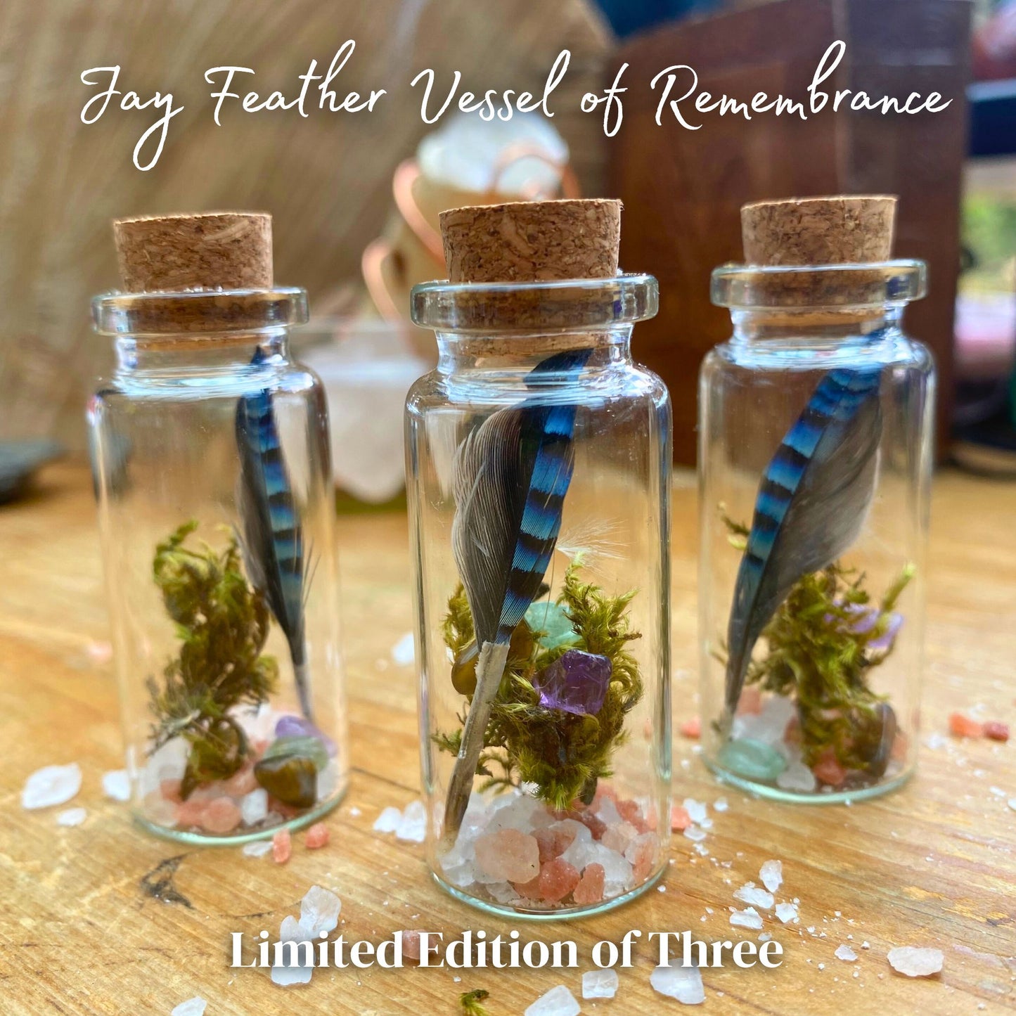 Light for the Unseen - Baby Jay Feather Curiosity & Honouring Jar
