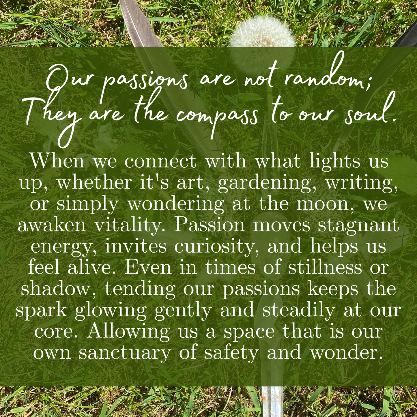 Glimmer Seekers Passion Sanctuary Membership