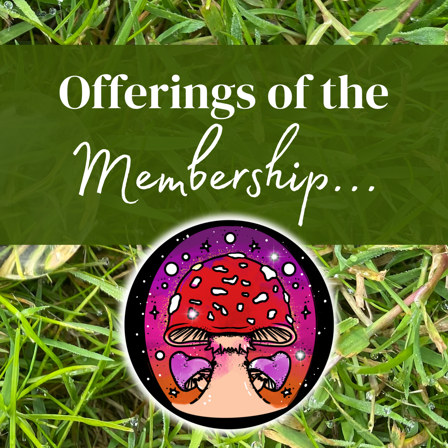 Glimmer Seekers Passion Sanctuary Membership